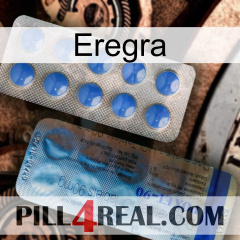 Eregra 40